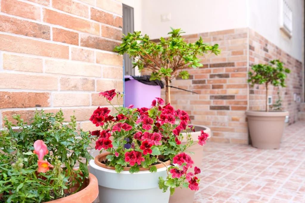 Casa Davide Apartment Торе Анунциата Екстериор снимка